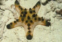 Science Snapshots: June 14, 2026