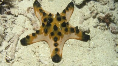 Science Snapshots: June 14, 2026