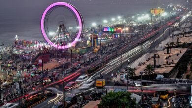 The story and science behind Ferris wheels