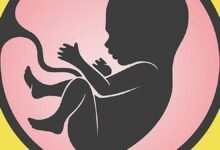 Indian scientists recreate key functions of human Placenta on chip