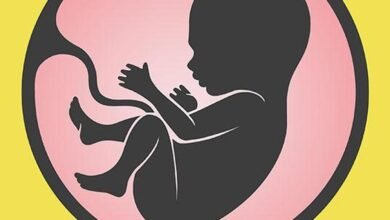 Indian scientists recreate key functions of human Placenta on chip