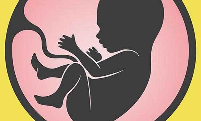 Indian scientists recreate key functions of human Placenta on chip
