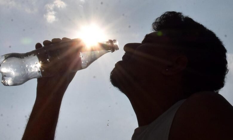 Heatwaves and ozone together increase India’s cardiac deaths: study
