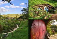 There and back again: A Tolkien fan’s pilgrimage to Hobbiton, New Zealand