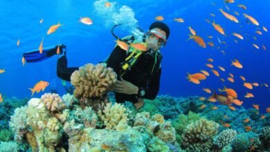 World Oceans Day 2026: How diving is changing lives in Andaman’s Karen and Ranchi communities