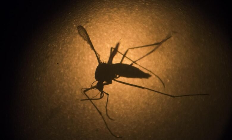 Drug-resistant malaria poses growing challenge to treatment and elimination efforts