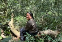Krithi Karanth named 2026 Rolex National Geographic Explorer of the Year