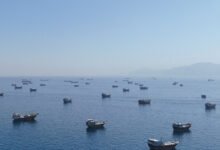 Iran War Live Updates: U.S. and Iran Trade Strikes in New Test of Cease-Fire