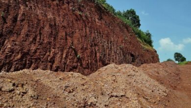 NLC emerges as preferred bidder for a critical mineral block in Telangana