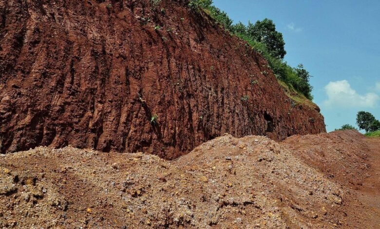 NLC emerges as preferred bidder for a critical mineral block in Telangana