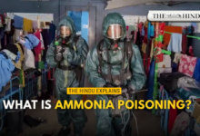 Watch: What is ammonia poisoning?