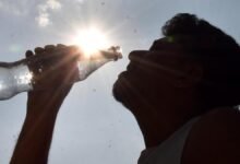 Heatwaves and ozone together increase India’s cardiac deaths: study