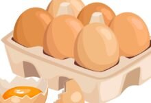 Column | Bengal’s summer of the egg