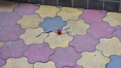 Three arrested in RSS office attack in Ranchi