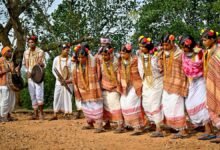Dongria Kondh of Niyamgiri: Where forests, food and faith shape daily life
