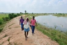 Tamil Nadu government to look for new airport site instead of Parandur