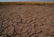 El Nino is here and scientists fear it’ll be big, bad and costly with heat, floods, droughts, fires