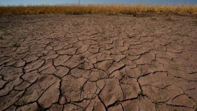 El Nino is here and scientists fear it’ll be big, bad and costly with heat, floods, droughts, fires