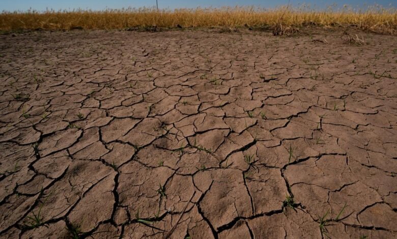 El Nino is here and scientists fear it’ll be big, bad and costly with heat, floods, droughts, fires