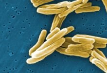Science Snapshots: June 28, 2026