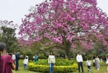 Cubbon Park belongs to everyone: Suresh Jayaram