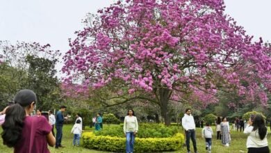 Cubbon Park belongs to everyone: Suresh Jayaram