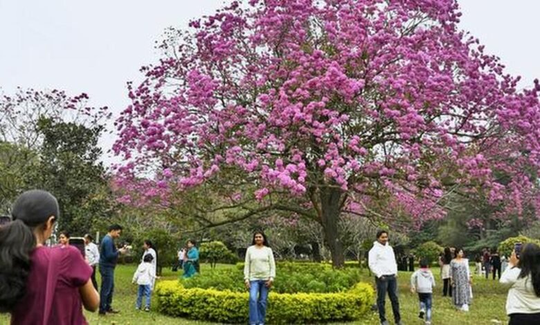 Cubbon Park belongs to everyone: Suresh Jayaram